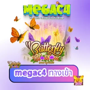 megac4 ทางเข้า